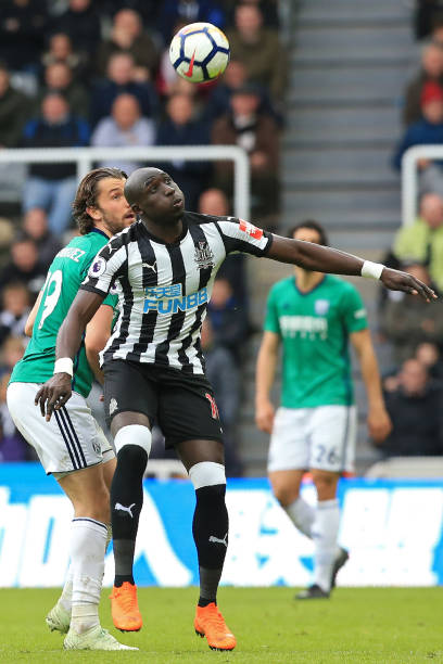 野和天赋的 野和天赋的